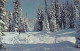 AK 193961 USA - Washington - Winter At Spokane - Spokane