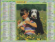 CALENDRIER ANNEE 2006, COMPLET, JEUNE FILLE AVEC CHIENS, JEUNE FILLE ET LAPIN COULEUR  REF 13865 - Tamaño Grande : 2001-...