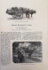 Delcampe - Über Land Und Meer. Jahrgang 1904/05. Erster Band. Heft 1 - 4. - Other & Unclassified