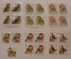 LOT De Différents TIMBRES  PREOBLITERES OISEAUX BUZIN  ( 39 )- Voir Les 3  Scans !! - Typos 1986-96 (Oiseaux)