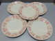 -5 ASSIETTES PLATES DEMI PORCELAINE BADONVILLER Modèle CERISES Table  E - Badonviller (FRA)