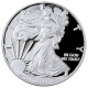 DOLAR DE PLATA AMERICAN EAGLE CALIDAD PROOF 2020 DE 1 ONZA. - Ohne Zuordnung