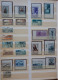 Delcampe - ITALIA Trieste -1945-54- "Collezione Quasi Completa" MNH** & USº (descrizione) - Postage Due