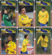 Delcampe - F13009 China Phone Cards Brazil Football 169pcs - Sport