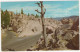 Hoodoos And Silver Gate Between Mammoth And Golden Gate In Yellowstone National Park  - (CA, USA) - 1971 - Yosemite