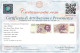 50000 LIRE GIAN LORENZO BERNINI II TIPO LETTERA E 24/06/1999 FDS-/FDS - Sonstige & Ohne Zuordnung