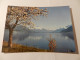 Zwitserland   Lac Léman  ***  1198  *** - Meer Van Genève