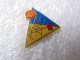 RARE  PIN'S     SHELL   DERRICK  Email De Synthèse - Brandstoffen