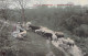 FOLKLORE - En Auvergne - Gardeuse De Moutons - Carte Postale Ancienne - People