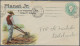 Tasmania -  Postal Stationery: 1892, 2d Light Green QV Oval Embossed Printed-to- - Covers & Documents