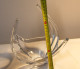 Delcampe - E2 Coupe à Fruits Ou Vide Poche - Val Saint Lambert - Forme Originale - Glass & Crystal