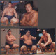 Delcampe - Japan - Specialities: 1953/2017 (ca.), Sumo Ringers, Collection Of Everything Re - Sonstige