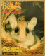 221/ LA VIE DES BETES / BETES ET NATURE N° 221 Du 12/1976, Voir Sommaire - Animali