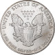 États-Unis, Dollar, 1993, Philadelphie, 1 Oz, Argent, SPL, KM:273 - Zilver