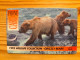 Prepaid Phonecard United Kingdom, International Phonecard - Marine Life, Bear - Bedrijven Uitgaven