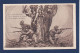 CPA Italie Dessin Patriotique Guerre War WWI Non Circulée - Sonstige & Ohne Zuordnung