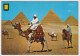 AK 198198  EGYPT - Giza - Kheops, Kephren And Mycerinos Pyramids - Pirámides