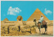 AK 198209  EGYPT - Giza - The  Sphinx And The Pyramids Of Kephren And Mykerinos - Piramiden