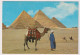 AK 198218 EGYPT - Giza - The Giza Pyramids - Pyramiden