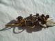 Broche Vintage - Other & Unclassified