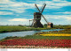 CPM Holland Land Of Flowers And Windmill Moulin A Vent - Eritrea