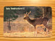 Phonecard Sweden - Deer - Schweden