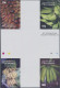 Delcampe - Micronesia: 2000/2009. Collection Containing 110 IMPERFORATE Stamps (inclusive C - Micronésie