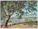 Australia VICTORIA VIC Bridge Over Murray River MILDURA Murfett 8PS219 Postcard C1970s - Mildura
