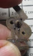 1619 Pin's Pins / Beau Et Rare / THEME BIERES / BIERE 1664 Variante Bronze JEUX OLYMPIQUES MEDAILLE - Bierpins