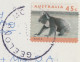 Australia VICTORIA VIC National Wool Museum GEELONG Multiview 1989 Postcard 1995 Pmk Koala Stamp - Geelong