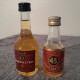 MIGNONNETTES LIQUEUR QUARANTE TROIS - Miniatures