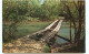 Etats-Unis - Missouri - Hog Trough Bridge - Located On Courtois Creek , Off Highway 8, Between Potosi And Steelville - Sonstige & Ohne Zuordnung