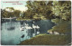 Postcard - Argentina, Buenos Aires, Zoo, N°705 - Argentine