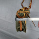 Delcampe - Vintage Canvas Shoulder Bag With Leather Strap FC Slavia Sofia Emblem #5468 - Sonstige & Ohne Zuordnung