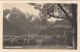 E4114) LIENZ Vom HAIDENHOF - Schöne Alte FOTO AK - 1941 - Lienz