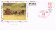 53959. Carta MELBOURNE (Australia) 1984. Exposicion AUSIPEX 84. Carried By Cobb An Co - Covers & Documents