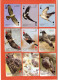 Playing Cards 52 + 2 Jokers. Wild Birds Of Poland.  Poland - 2022. - 54 Cartas