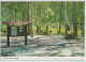 AUSTRALIA VICTORIA VIC Forest Park LORNE Nucolorvue 17LO036 Postcard C1980s - Autres & Non Classés