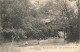 FRANCE - Lyon - Vue Générale - Parc De La Tête D'or - Une Promande Sur Le Lac  - Carte Postale Ancienne - Sonstige & Ohne Zuordnung