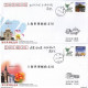 Delcampe - China 2010 With Best Wishes For 2010  EXPO Commemorative Covers(41V) - 2010 – Shanghai (China)