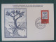 Turkey 1981 FDC Card Stamp On Stamp Ataturk Tree Map - Covers & Documents
