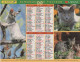 CALENDRIER ANNEE 1999, COMPLET, CHATONS, CHIOTS COULEUR  REF 14383 - Grand Format : 1991-00