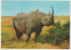 CARTOLINA NON VIAGGIATA - RINOCERONTE NERO - AFRICA  -  ED. CARAMI - MILANO - Rhinoceros