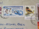 India 2023 Front Of Stationery Cover To Nicaragua - Painting Bird Penguins Polar - Covers & Documents