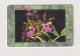 CZECH REPUBLIC - Orchids Chip Phonecard - Repubblica Ceca