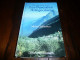 REGIONALISME MICHEL SEBASTIEN RANDONNEES DANS LES PYRENEES ARIEGEOISES ARIEGE DE L'AUDE A LA GARONNE 1980 - Midi-Pyrénées