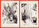 27273 /⭐ ◉ 2 Photographies  ◉ MONACO Allée Bordée Cactus Cierge Jardin Exotique 1950s  ◉ Photographies 9x13cm - Jardin Exotique