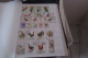 OISEAUX   LOT DE 12 PAGES - Collections, Lots & Series