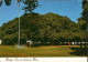 AK 65 - Ansichtskarte / Postkarte: USA - Hawaii Inseln - BANYAN-Baum - Lanai