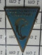 713L Pin's Pins / Beau Et Rare / SPORTS / DAUPHIN NATATION CLUB NAUTIQUE VAULXOIS - Nuoto